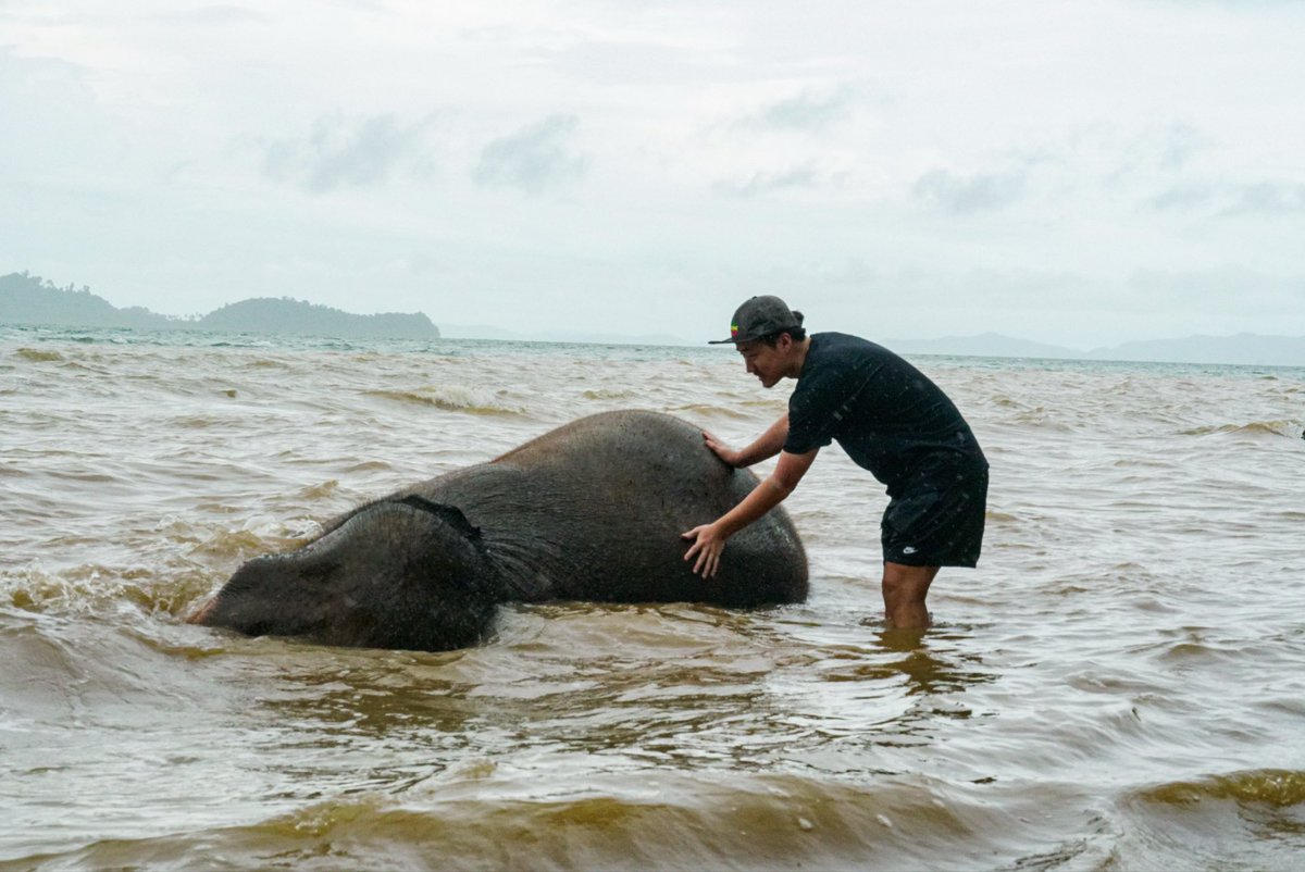 市川 達大@TECH WORLD ITエンジニア向け動画メディア tweet media