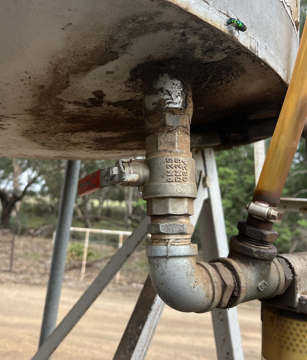 Tim Coyle tweet media