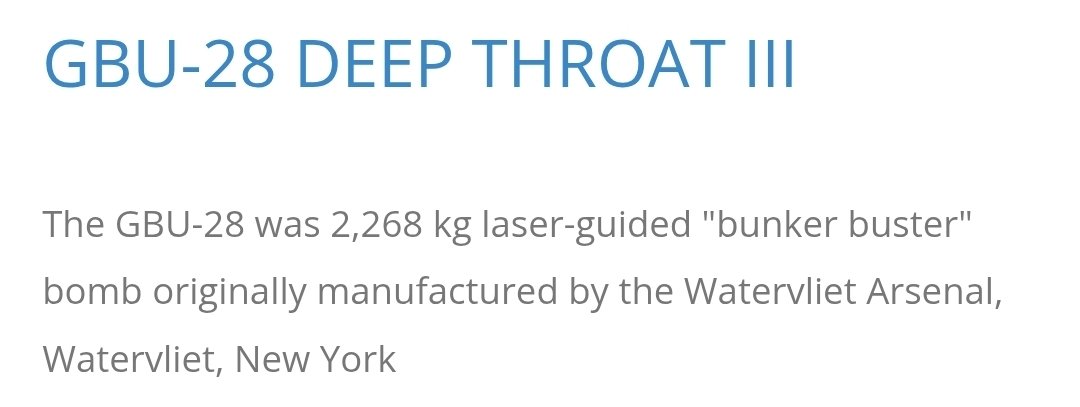 ˚｡✧🐚 𝖲𝗁𝖾𝗅𝗅𝗒 𝖥𝗈𝗌𝗌𝗂𝗅𝗂𝖺𝗇 🦴✧:･.☽ tweet media