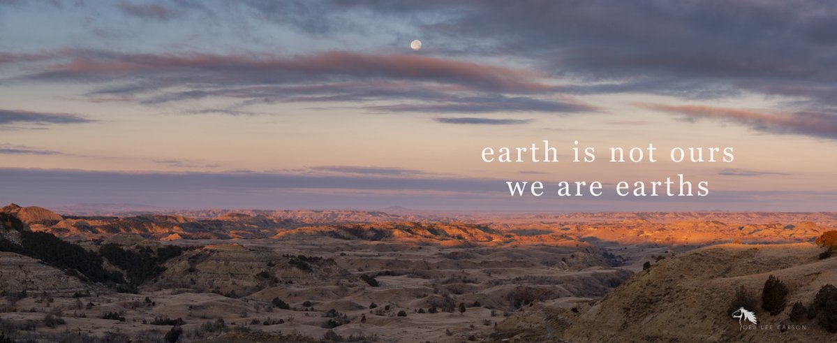 Deb Lee Carson Photography tweet media