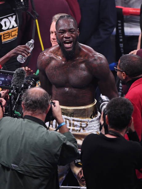 محسن 🥊 tweet media