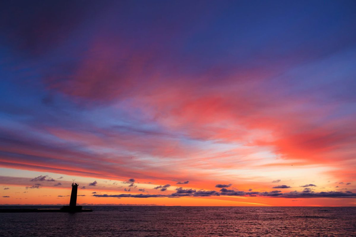 Mark the Caddie tweet media