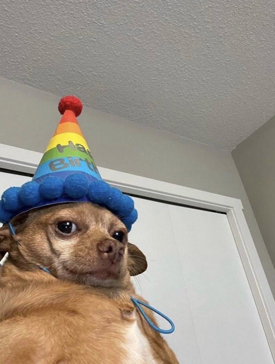 Rerethecreator tweet media