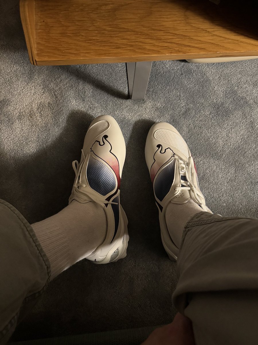 dua lipa’s cousin tweet media