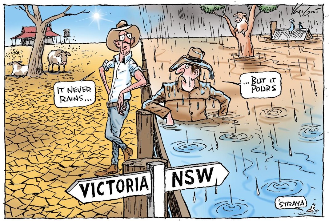 ʎqɹoƃ.eth tweet media