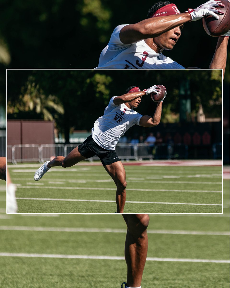 Stanford Elite tweet media