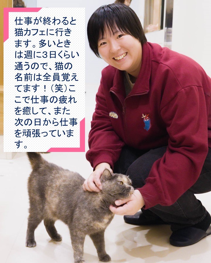 【公式】海上自衛隊　採用広報担当🐟🐠🐡 tweet media