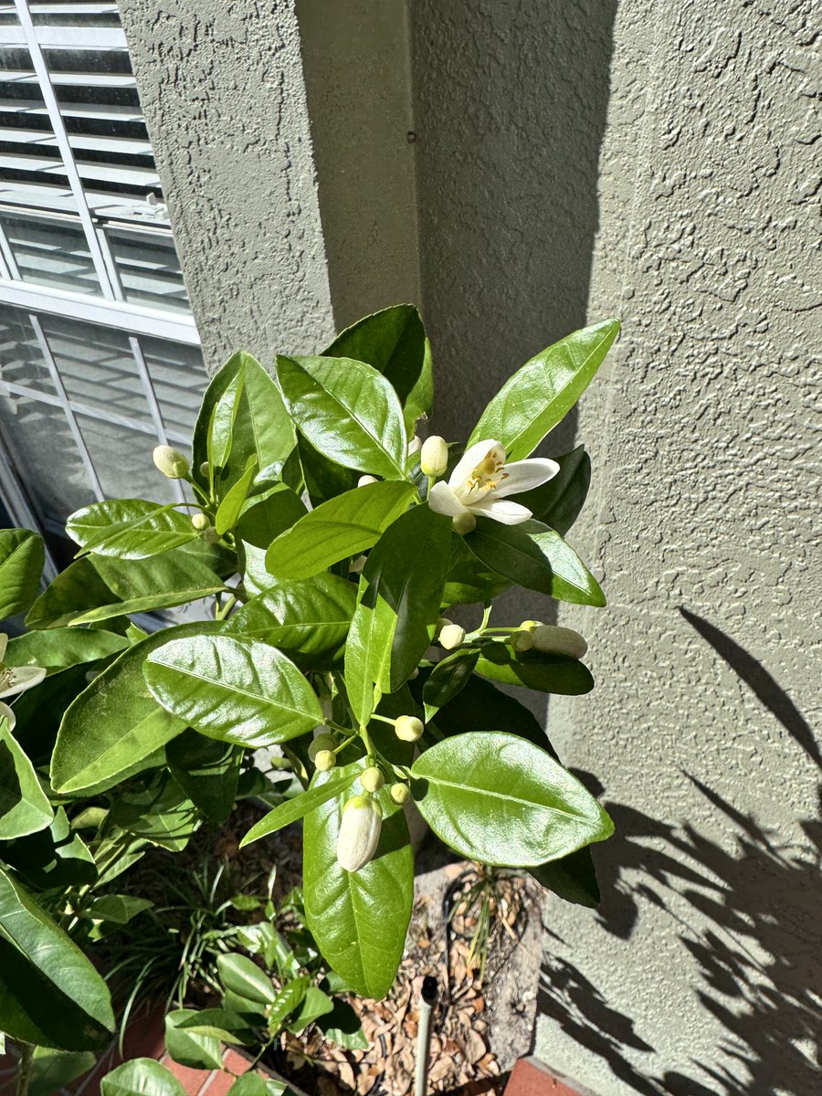 Jeremy Cook 🤖 tweet media