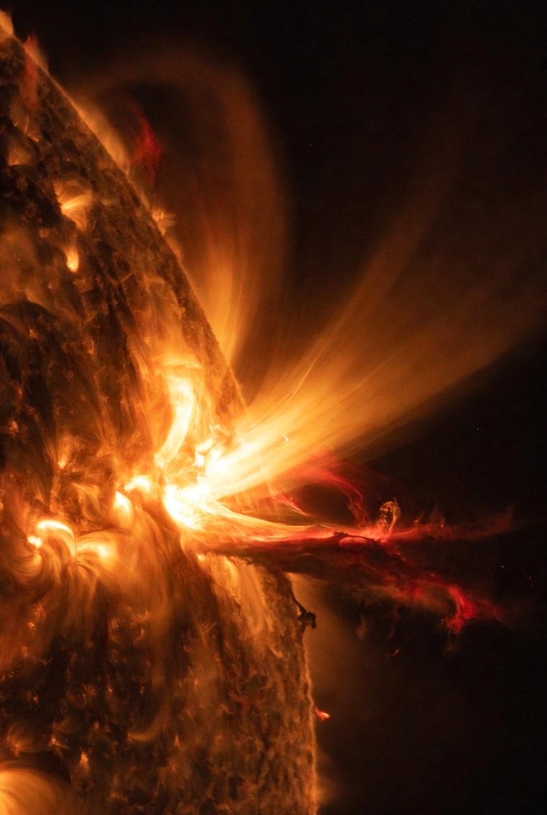 MathAndScience.com tweet media