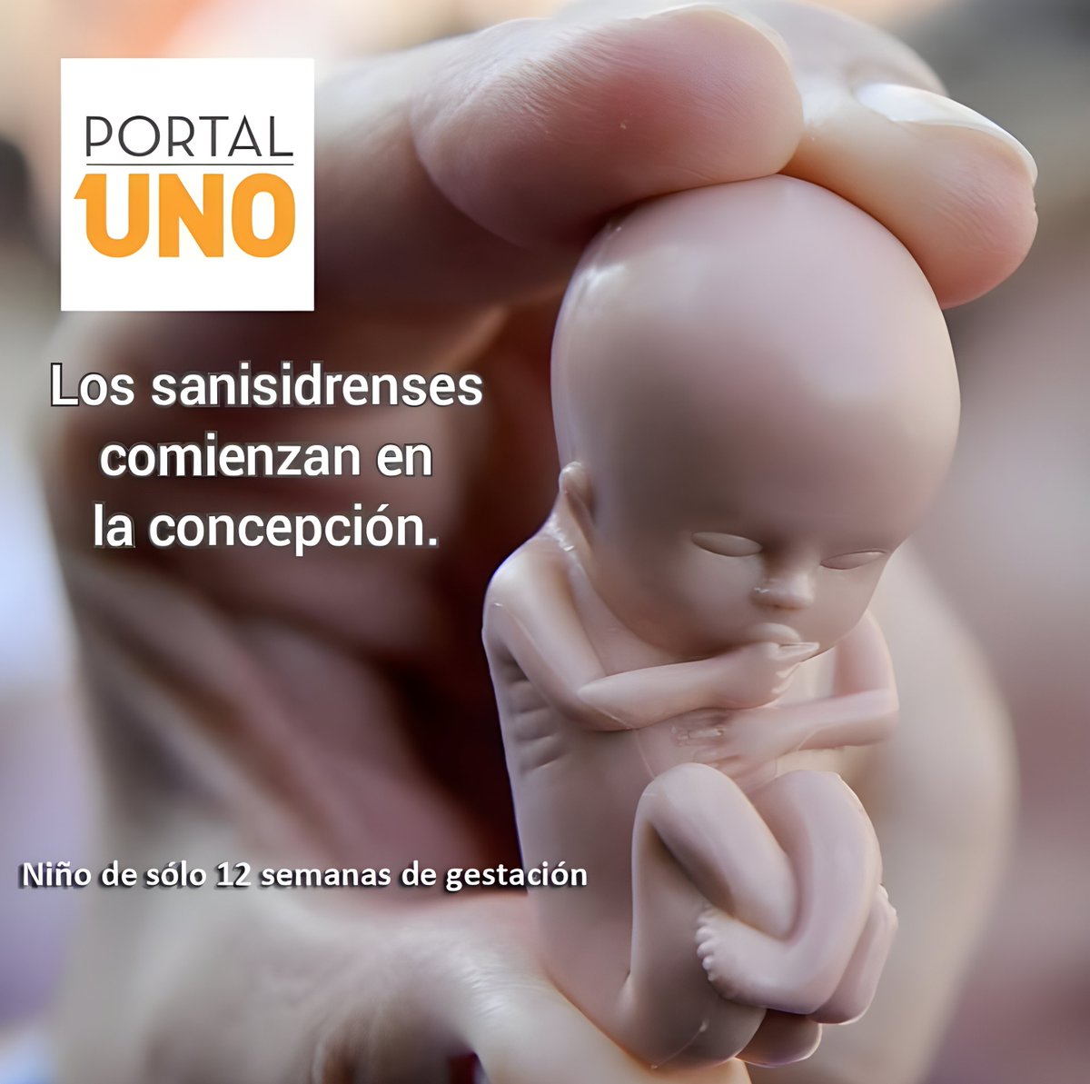 PORTAL UNO ARGENTINA 💙 tweet media