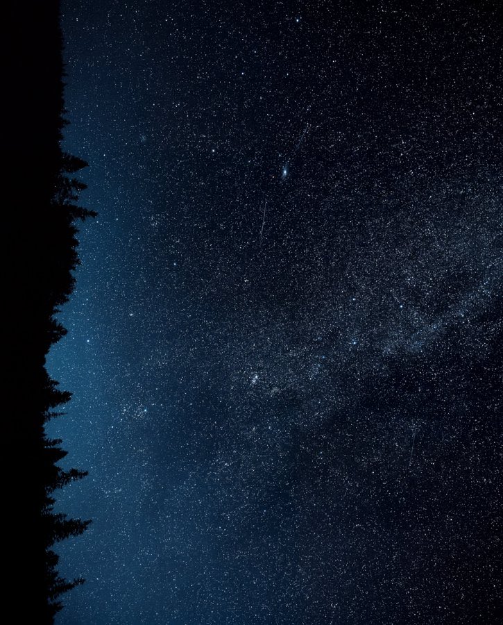 LadyValor tweet media