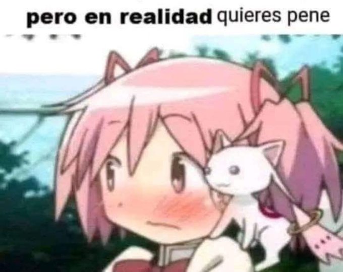 BOIKA³ ⚢ tweet media