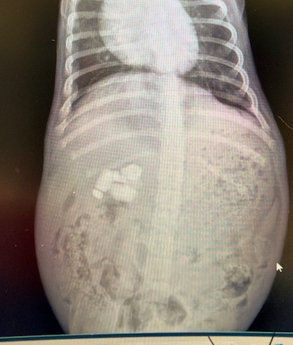 JoeyTuccio tweet media