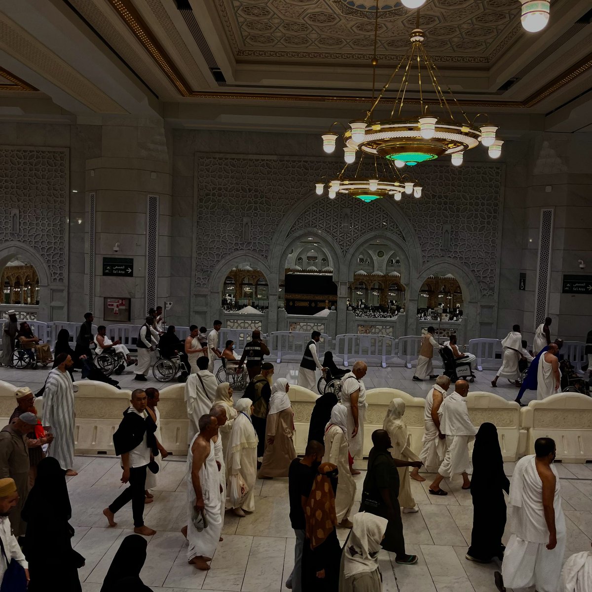 RAD. جميلة 🎓 tweet media