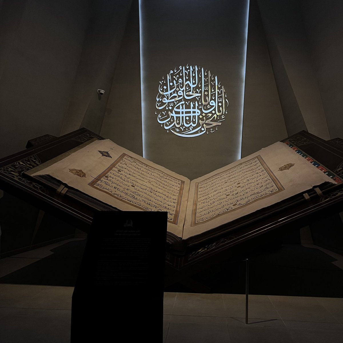 RAD. جميلة 🎓 tweet media