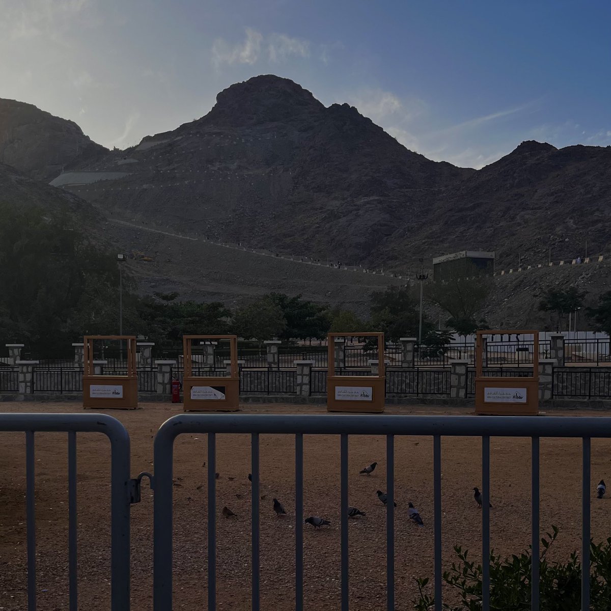 RAD. جميلة 🎓 tweet media