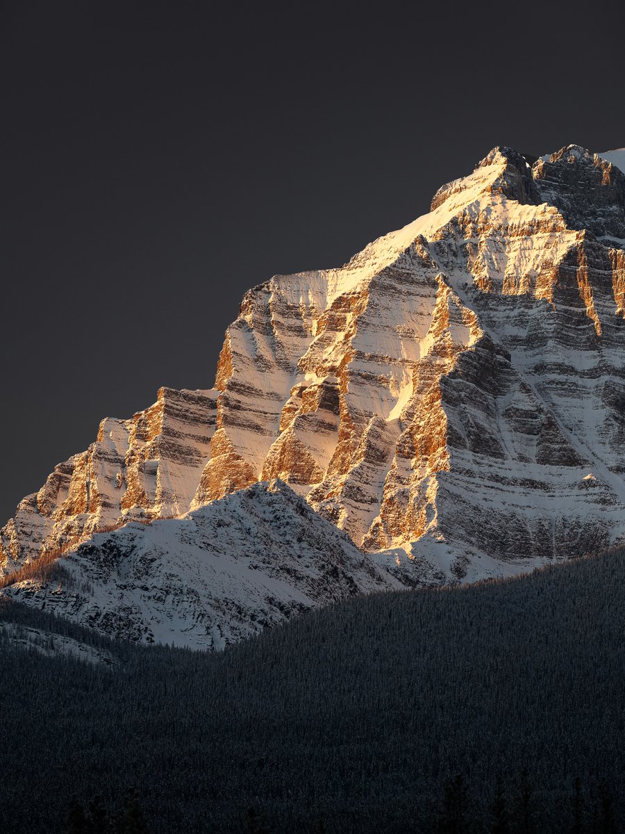 Purely Green tweet media