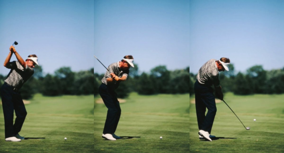 David Poulton tweet media