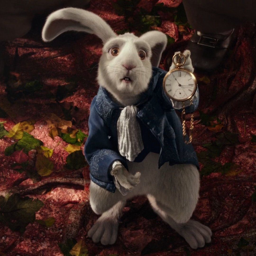 All Roads Lead To Rome | Parody tweet media