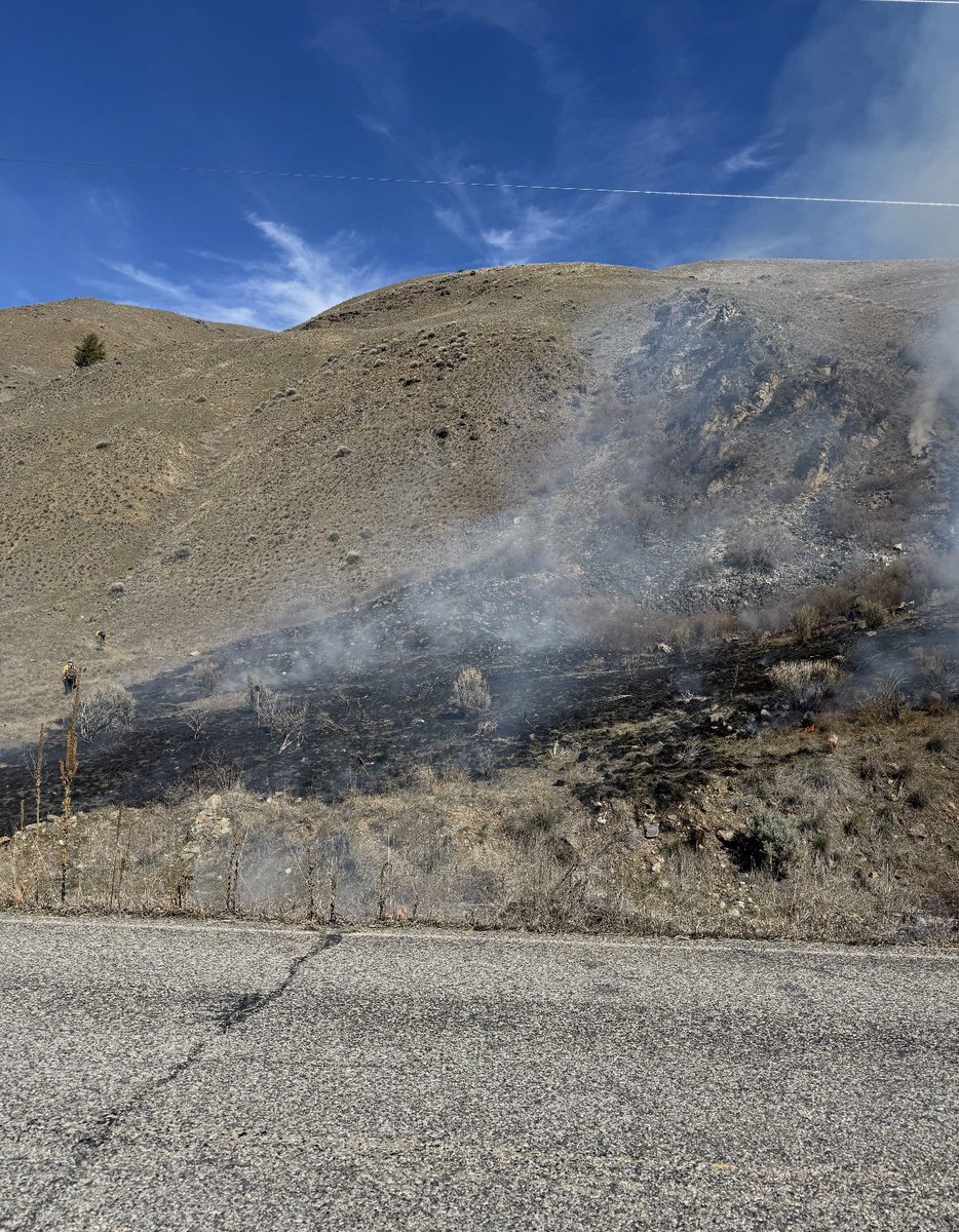 Salmon-Challis NF tweet media