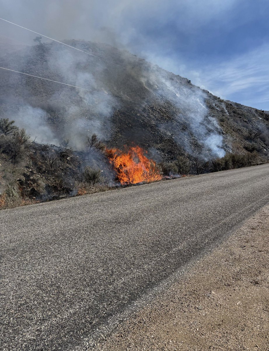 Salmon-Challis NF tweet media