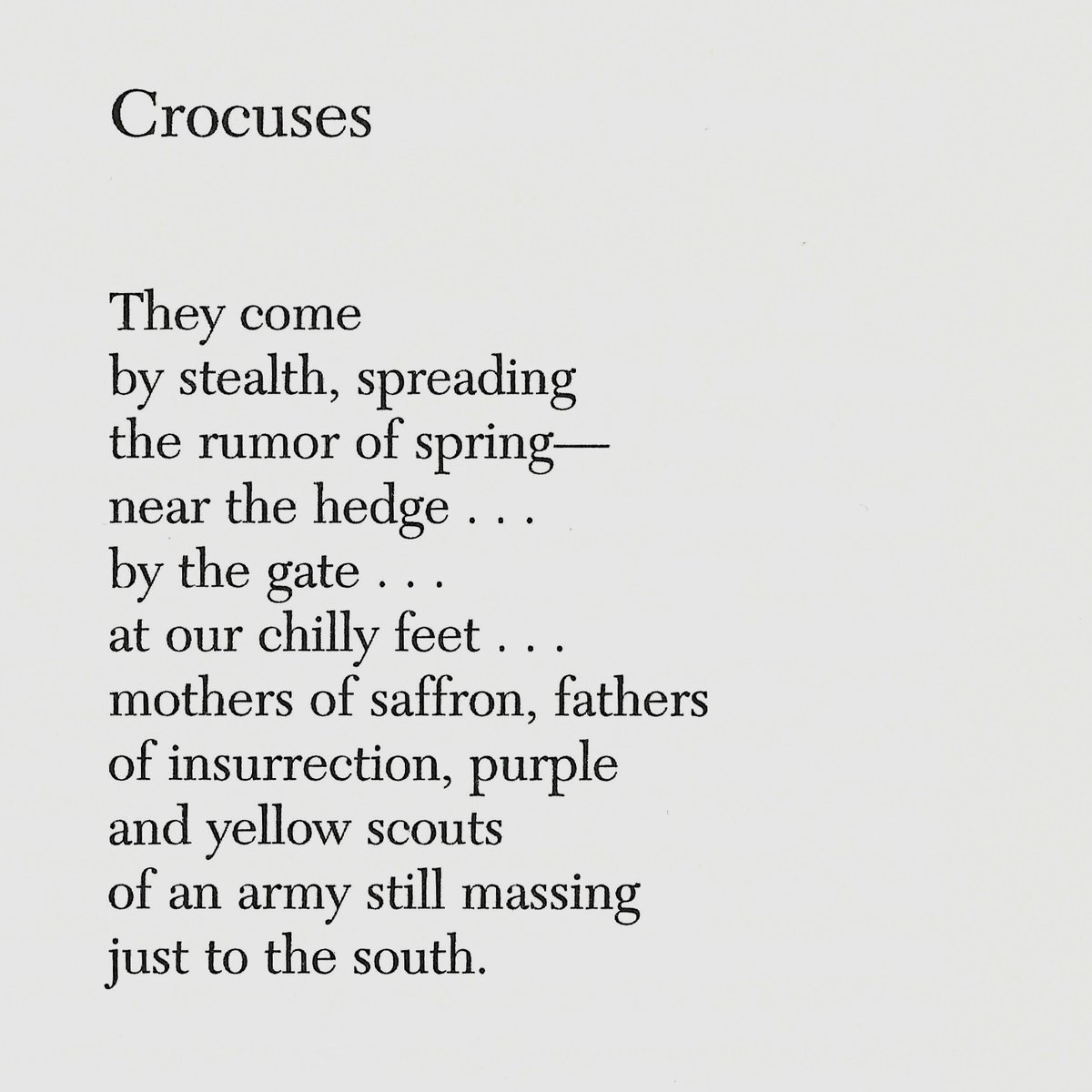 phillip crymble tweet media