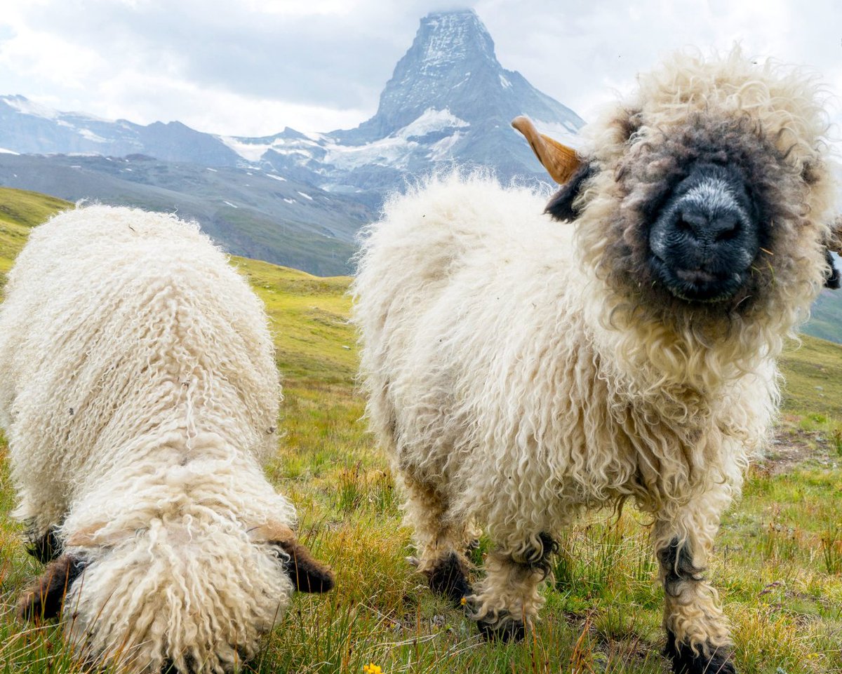 ☕️ Mara Lee ☕️ tweet media