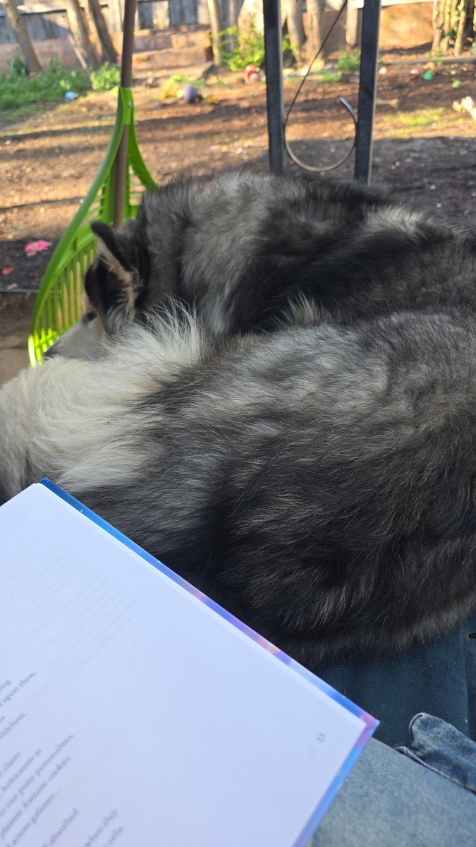 Kayla Lavender🌲🪻 tweet media