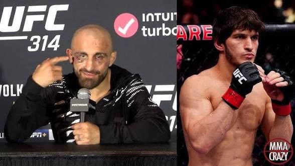 Blind Bear 🐻🕶️ tweet media