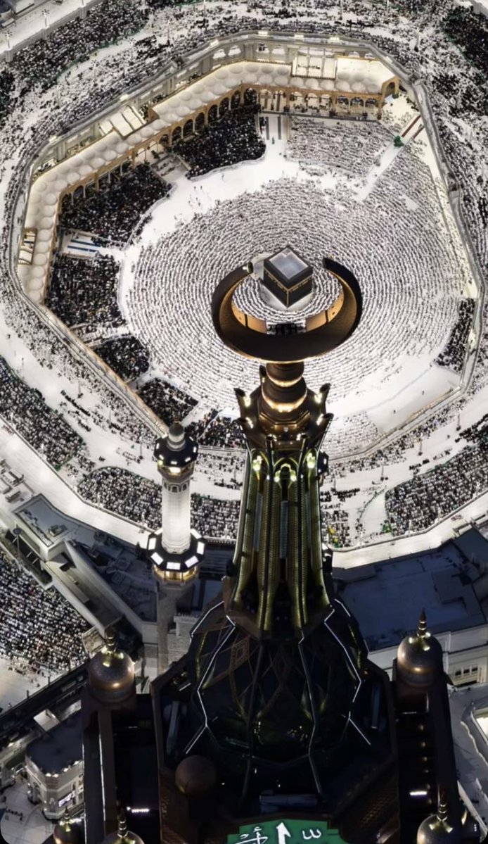 نايفه بنت سعودبن محمد الايداء tweet media