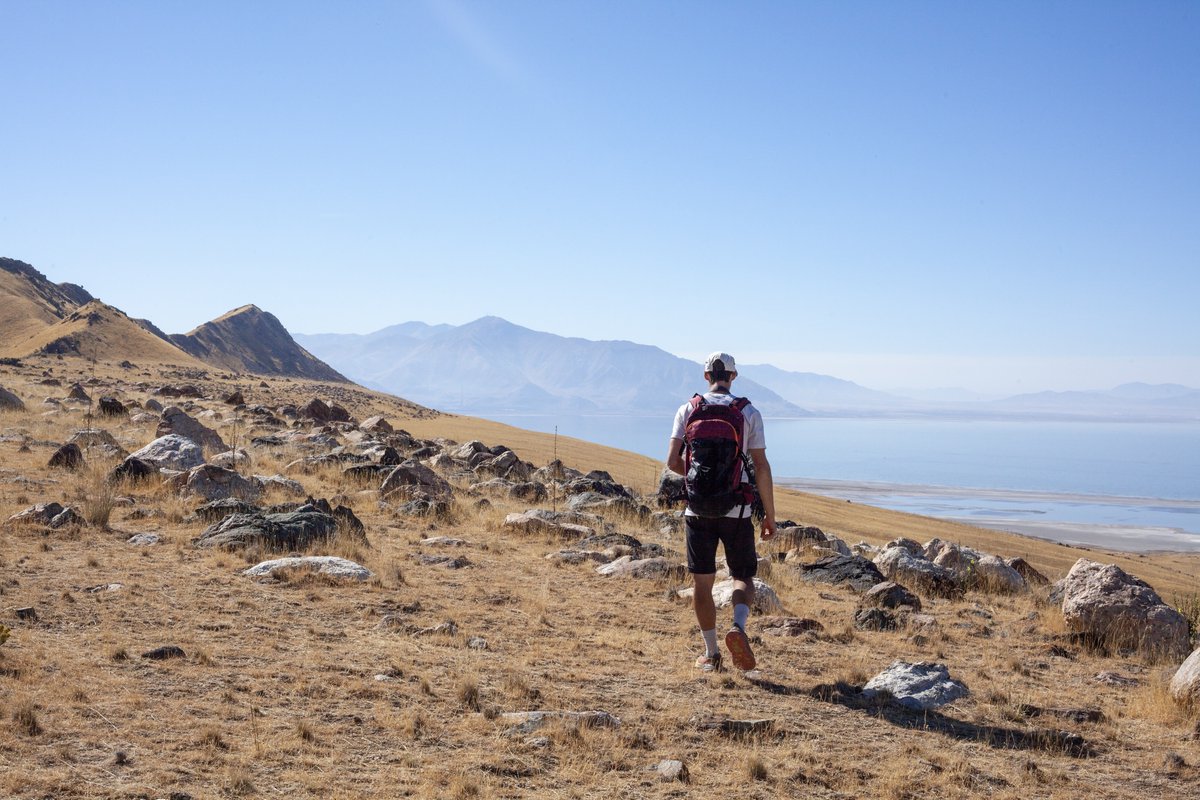 Bob Carter MD PhD tweet media