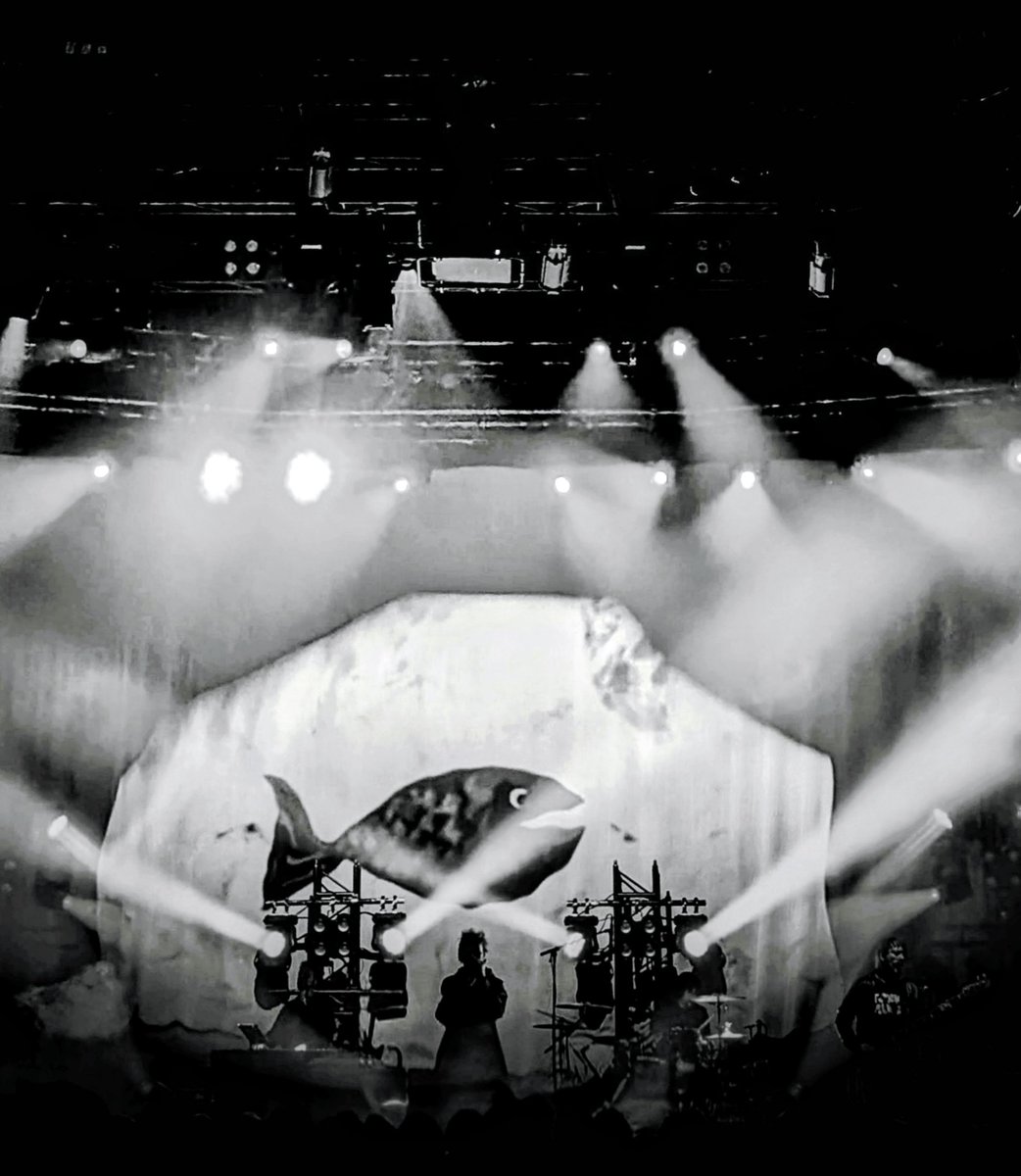 Echo & the Bunnymen tweet media