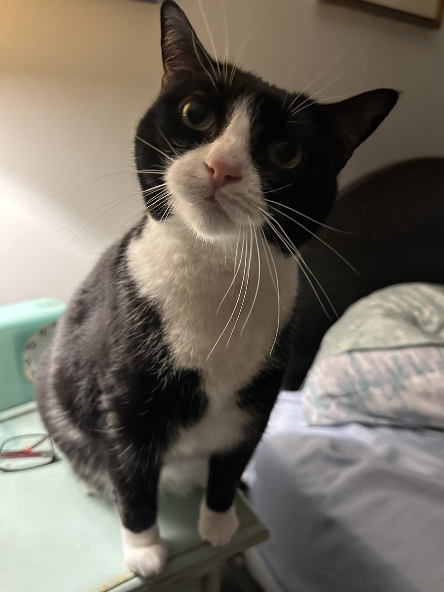 Patrick Skinner tweet media