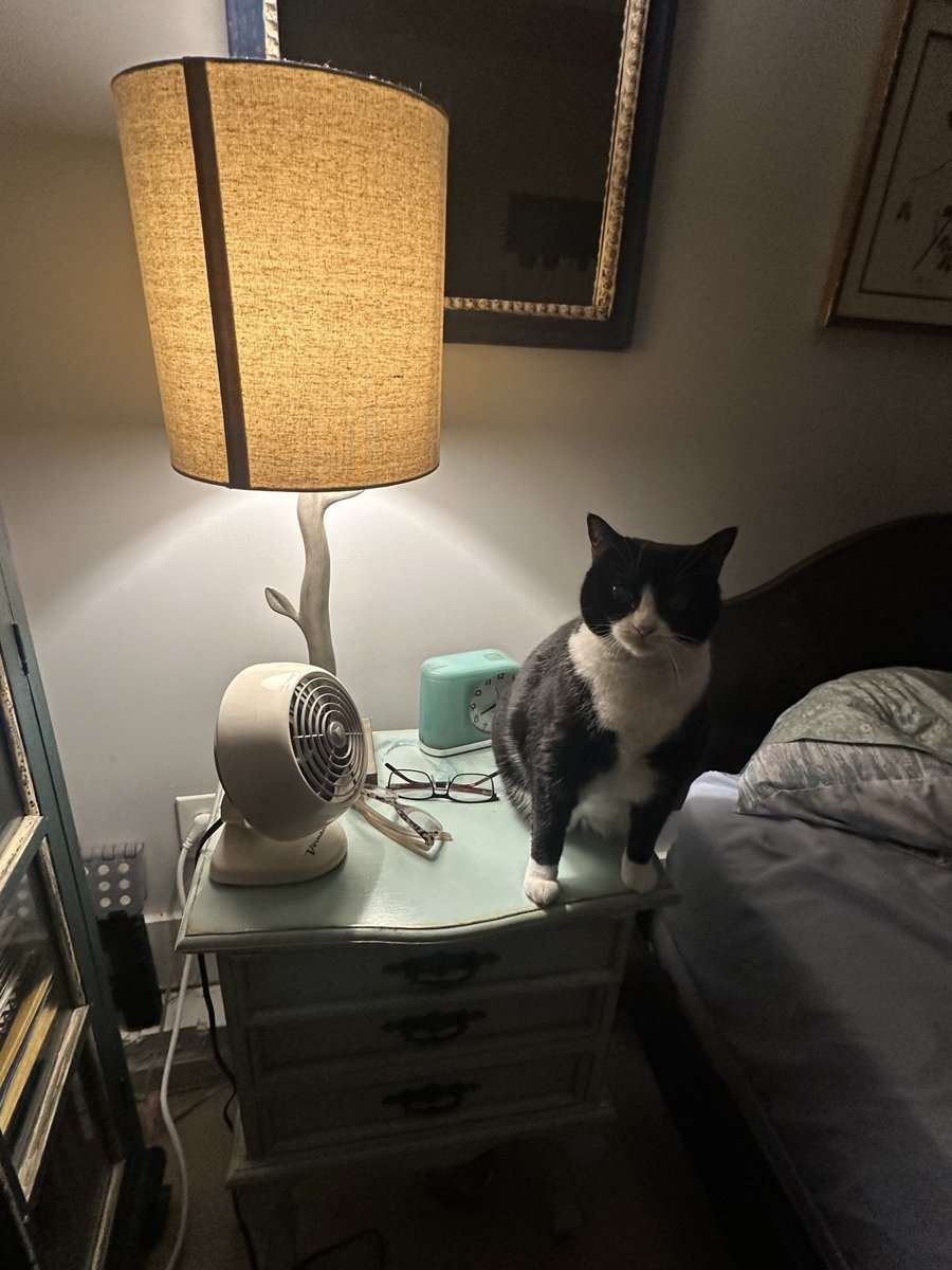 Patrick Skinner tweet media