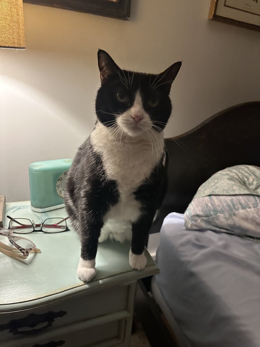 Patrick Skinner tweet media