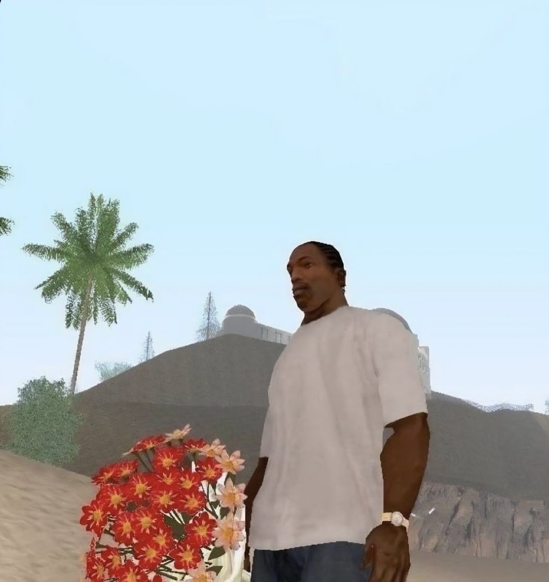 卂卄爪乇卩 tweet media