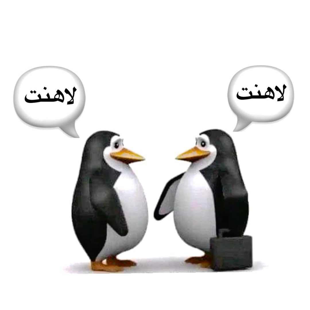 M tweet media