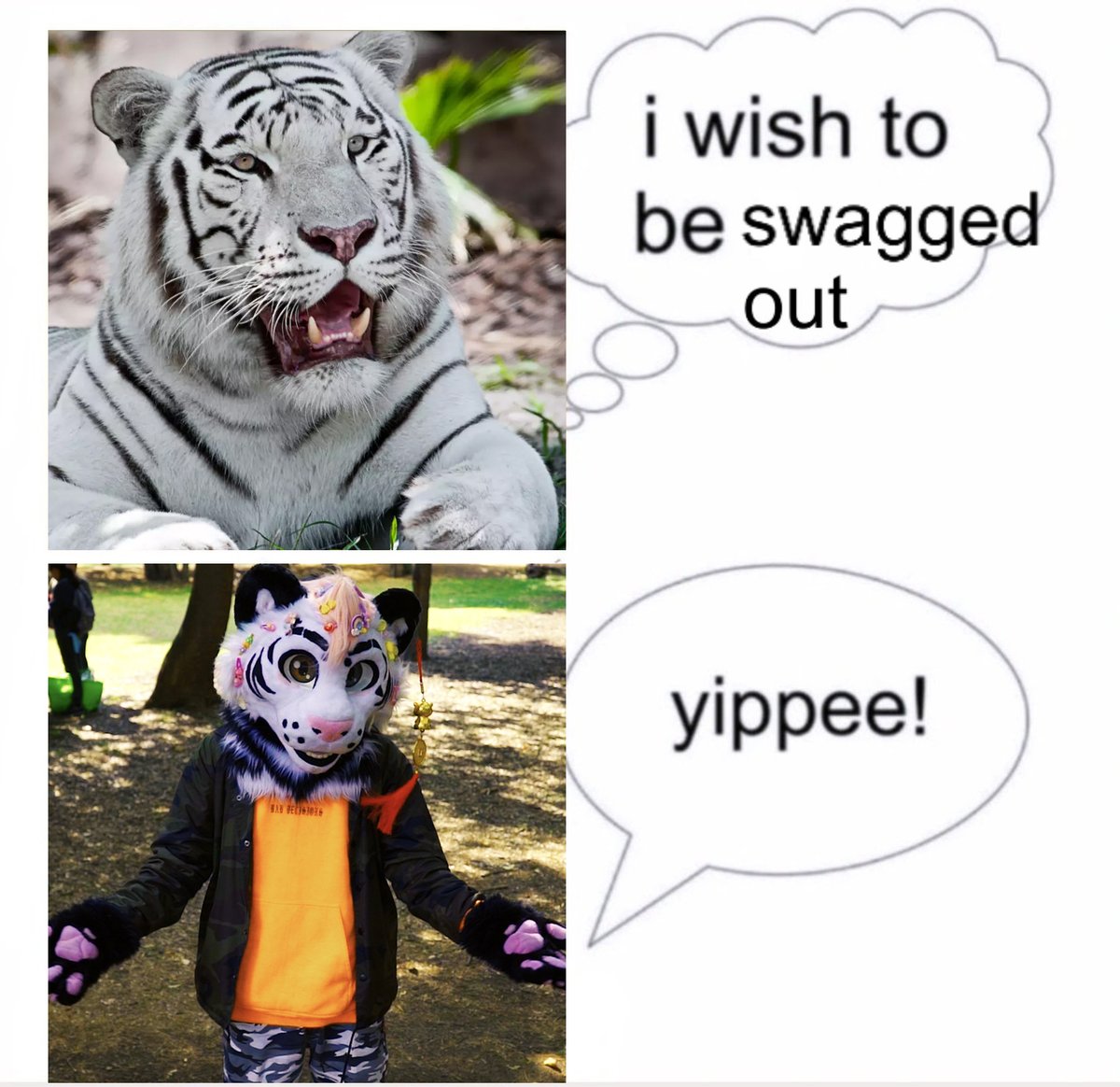 𝔸𝕝𝕝𝕦 - 𝕔𝕚𝕟 🔜 ??? tweet media