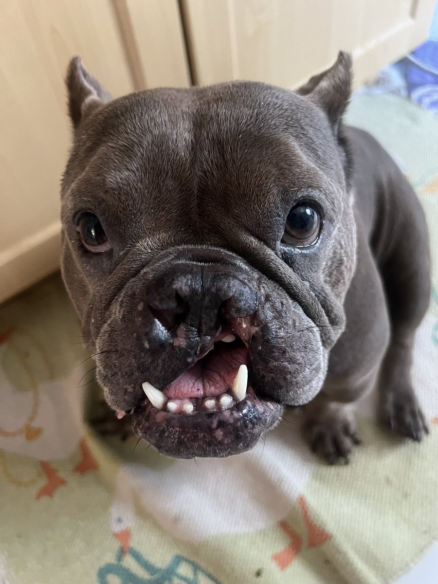 K C 🦅 tweet media