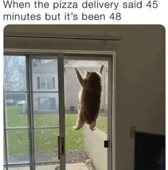 WholesomeMemes tweet media