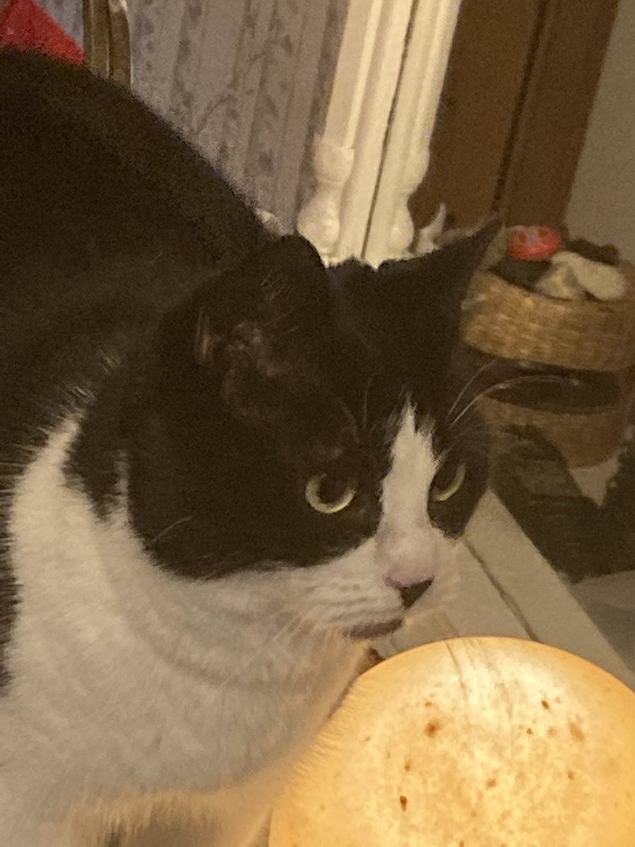 Сем🇸🇪 tweet media