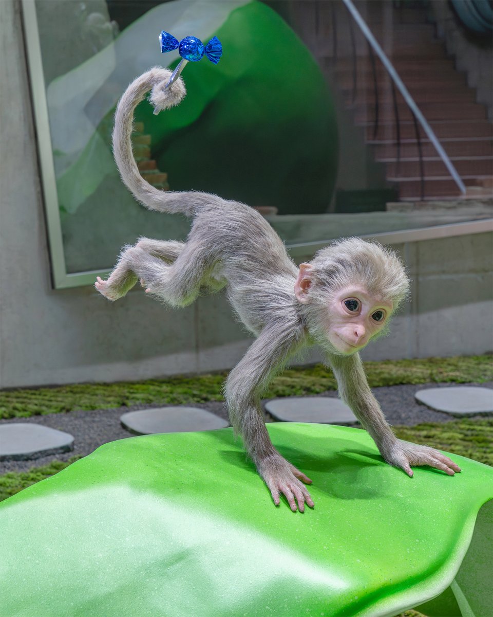 _adererror's tweet image. ADERERROR Sinsa Space 
📍31, Dosan-daero 11-gil, Gangnam-gu, Seoul

#ADERERROR #아더에러