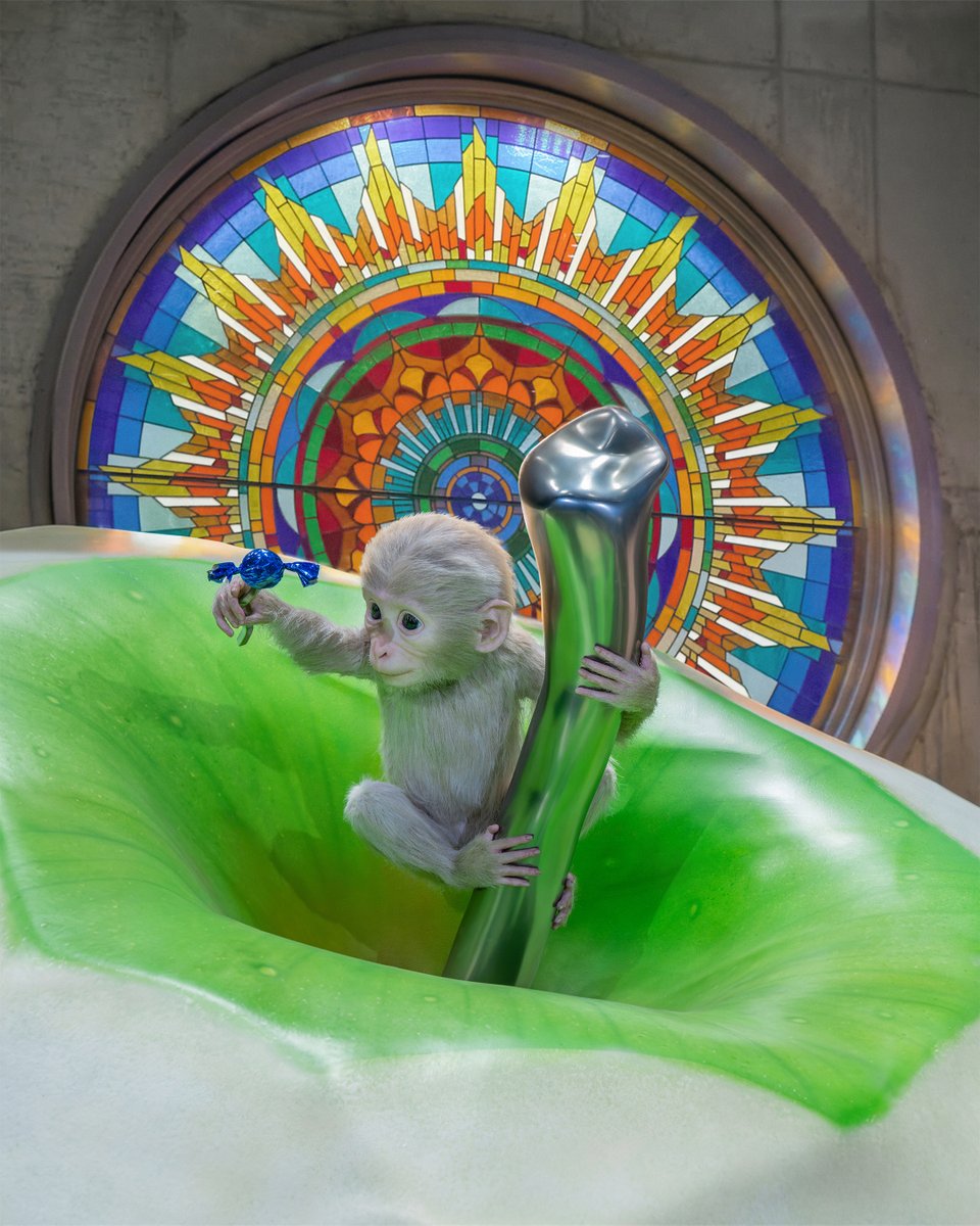 _adererror's tweet image. ADERERROR Sinsa Space 
📍31, Dosan-daero 11-gil, Gangnam-gu, Seoul

#ADERERROR #아더에러