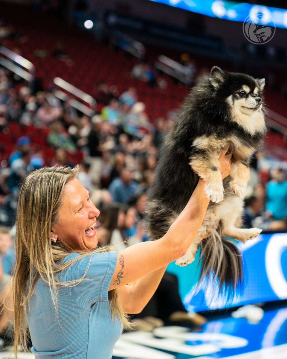 Iowa Wolves tweet media