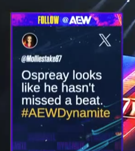 Mollie Smith tweet media