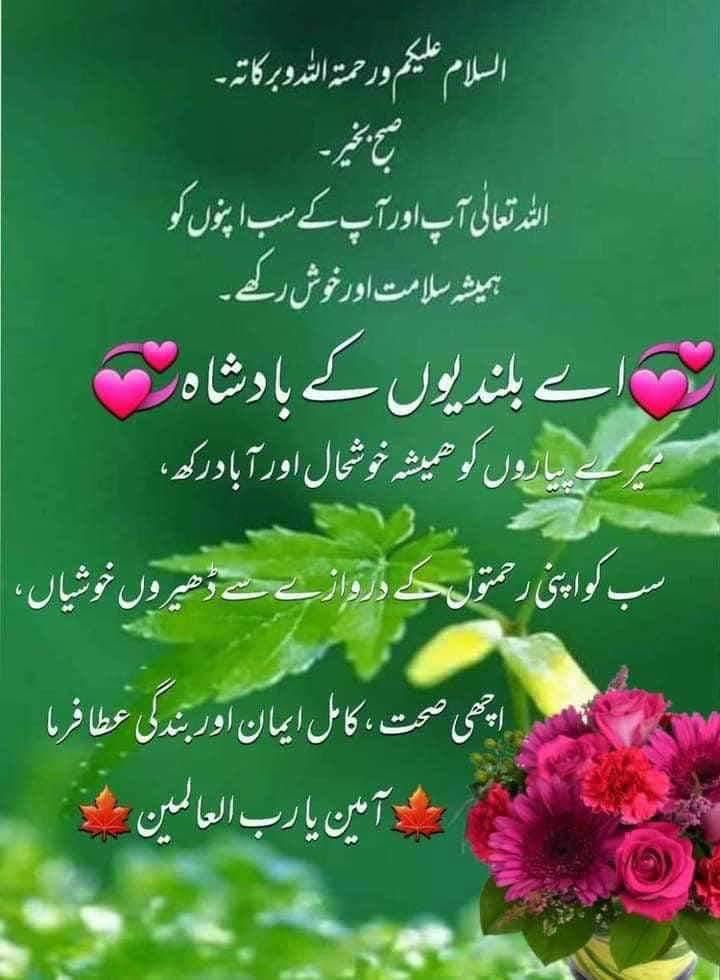 ℨ𝔢𝔢𝔰𝔥𝔞𝔫 𝔦𝔮𝔟𝔞𝔩 𝔥𝔲𝔰𝔰𝔞𝔦𝔫 tweet media