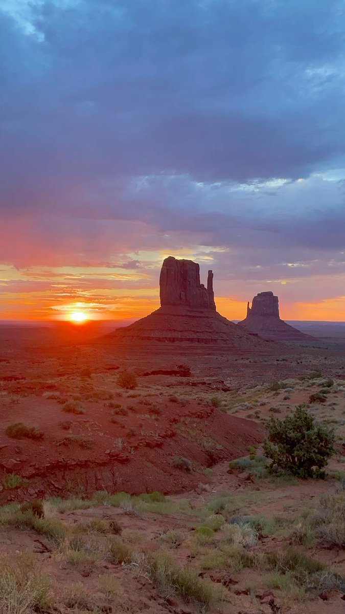 The Bull Moose Project tweet media