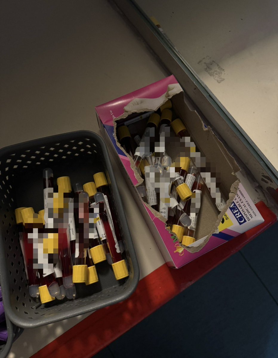 Samaher🔬 tweet media