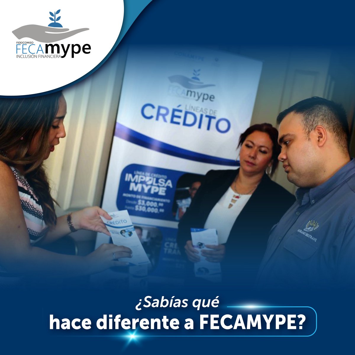 Fecamype tweet media