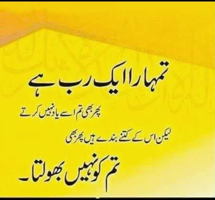 Ayesha Nazeer tweet media